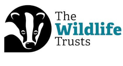 The Wildlife Trusts Logo