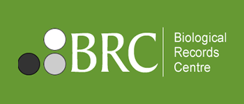 BRC logo